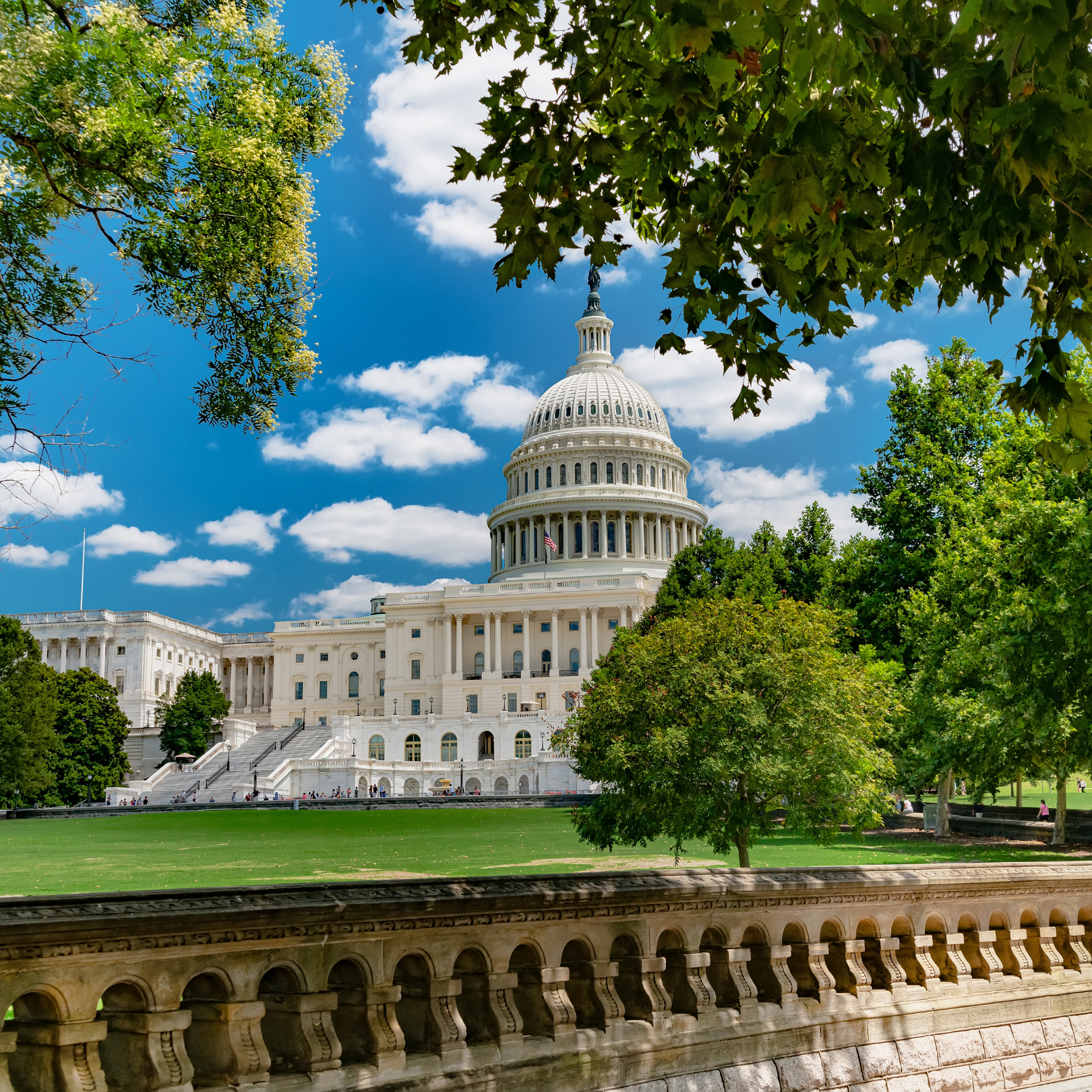 Be a Voice for the Industry: How Chapters Can Support AMPP Advocacy
